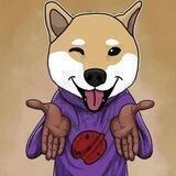 Shrug Shiba