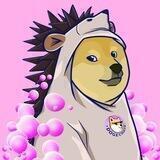 HedgeDoge-Portal