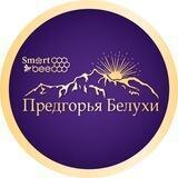 Предгорья Белухи. Сила Алтая. Твой Дзен 💜