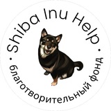 Shiba inu help
