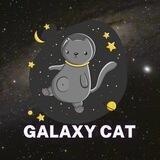 Galaxy Cat