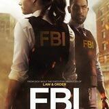 FBI Series