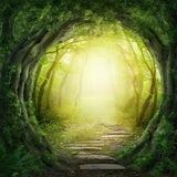 The Forrest