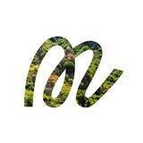MonteLife