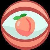 Bitcoin AssVision (THE ASS-LOVER'S BITCOIN)