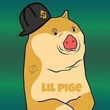 Lil Pige