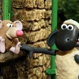 Mice v Mutton