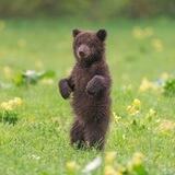 russia.in.photo