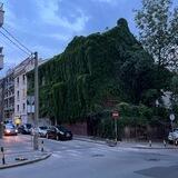 Врачар