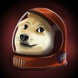 SPACEDOGE-PORTAL