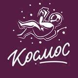 Космодайджест