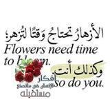 نبأ