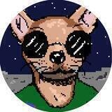 Chihuahua In Space 🐕 Verify