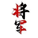 将军B盘 支拉45起