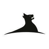 冲浪猫VPN😺