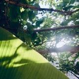 أَثَرٌ