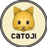 Catoji Pre-Veify