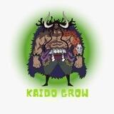 KAIDO GROW - Official Portal