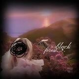 🦟>>black forest. ⋆.°