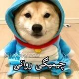 تبر چیه مدرک فیکه 🤣