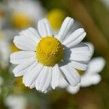 Leben und Wirken im Einklang mit der Natur
