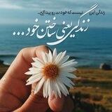 مجله زندگی 🌹