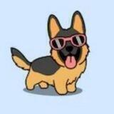 Baby Shepherd Inu - 2% Shepherd Inu Rewards