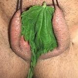 Versaute und perverse