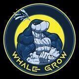 WhaleGrow SGK