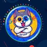 Google Grow