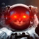 Cosmos Cats Signal
