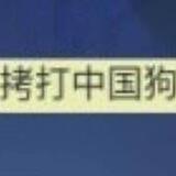 拷打中国狗