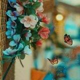 بيلسان الورد..🌹