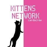 Kittens 🐱 Networking