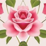 Archeia Rose - New Paradigm updates and Channelings ✨