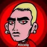 SHADY CHANNEL