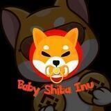 Baby Shiba Inu (Portal) READY FOR LAUNCH!