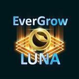 EverGrowLuna Portal