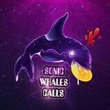 Sonic Whales®