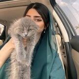 ﮼بەس تۆھ , 🤍🪡
