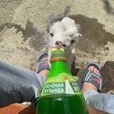 Шучка🤤