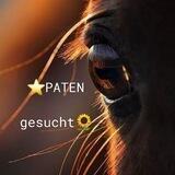 🤝Pferde-Paten🐴