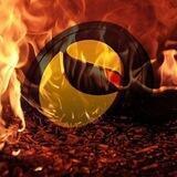 🔥BURNING LUNA🔥 1% LUNC BURN EVERY TRANSACTION