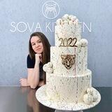 Сова вещает 🦉