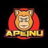 APEINU PORTAL