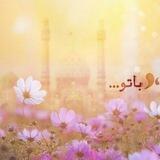 دلدادگان مهدی