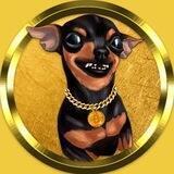 Pinscher Coin 💎 Official 🇬🇧