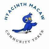 Hyacinth Macaw