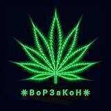 ✷ В о Р З а К о Н ✷