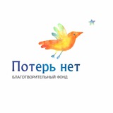 Фонд «Потерь нет»